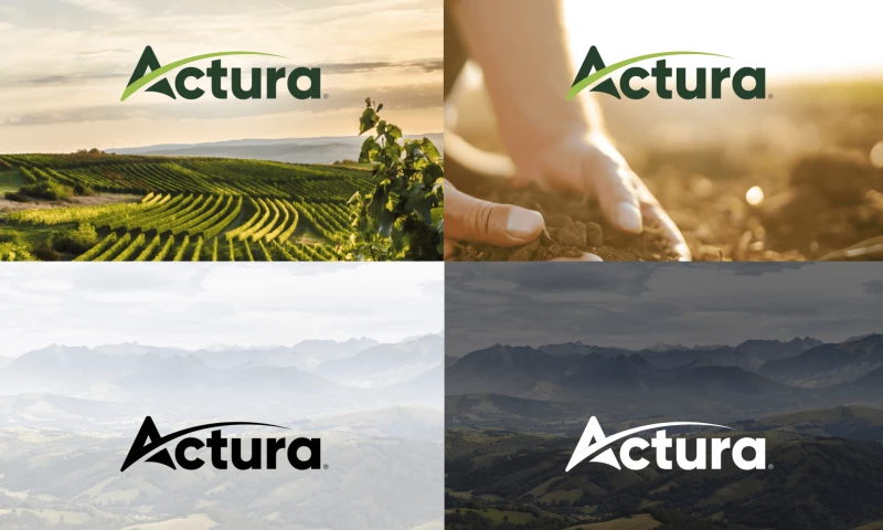 Groupe Zebra - Actura