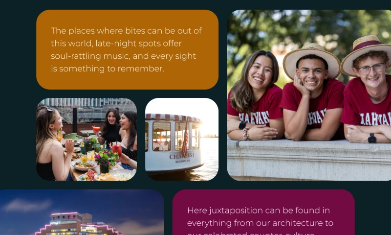 Chariot - Cambridge Office for Tourism - Travel Marketing Web Design