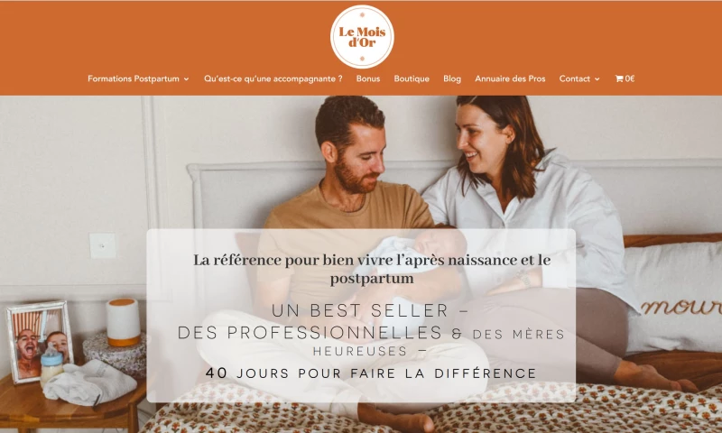 Low Cost Web Agency Private Limited - DIGITAL TRANSFORMATION FOR LE MOIS D'OR
