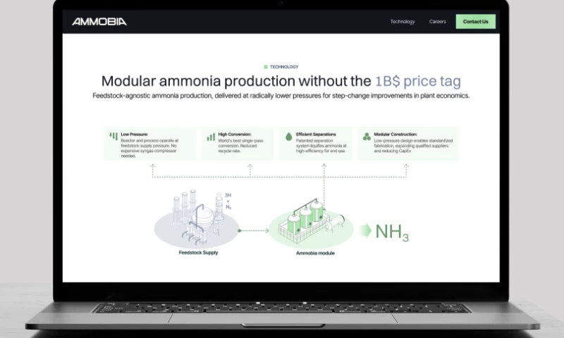What if Design LLC - Ammobia: Brand Identity + Website Design and Development