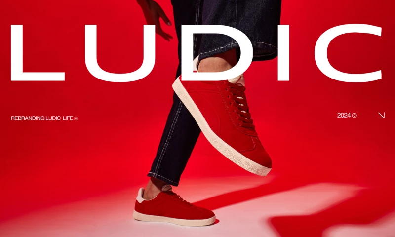 Studio Draft Design Community - LUDIC Brand Refresh