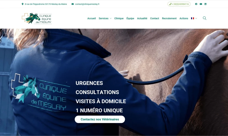 Low Cost Web Agency Private Limited - DRUPAL TO WORDPRESS MIGRATION FOR CLINIQUE EQUINE DE MESLAY