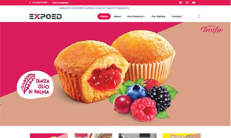 Web digital Development - website design of expoed