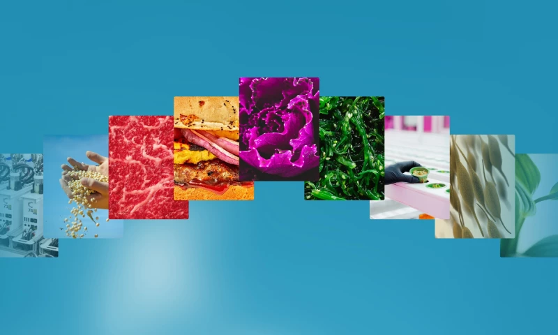 Your Creative Agency - Synthesis Capital Website