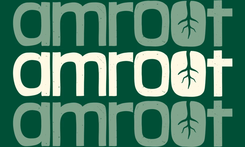 Multia Studio - Branding for Amroot