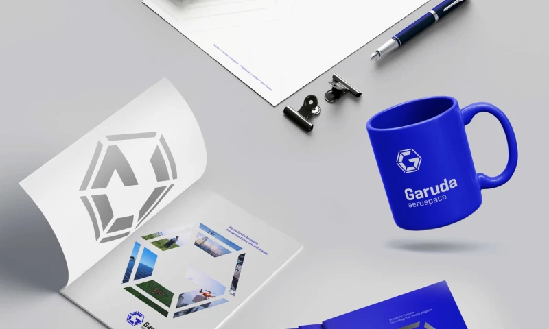 Big Brand Theory - Garuda - Re-energizing a futuristic drone start-up