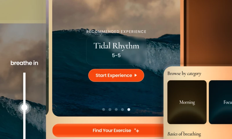 Baboons - Meditation App