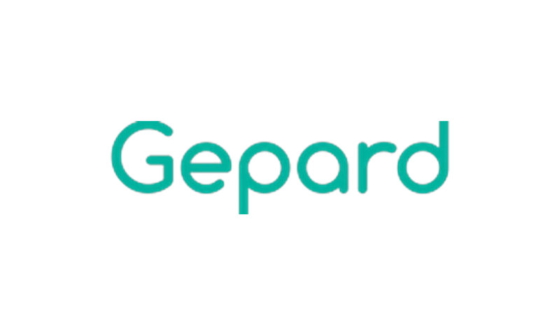 Bintime - Gepard PIM: AI Mapping