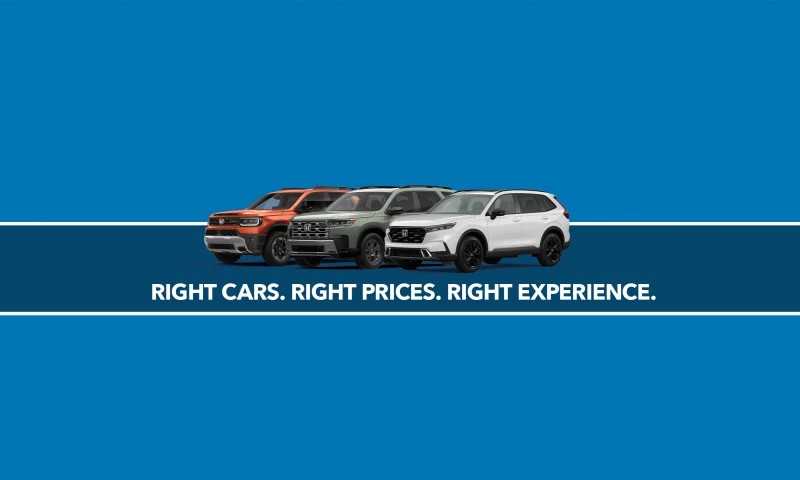 Cannonball Digital - Automotive Branding
