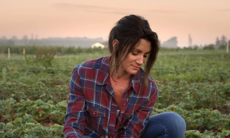 Clockwork 9 - The Ranpak Ecosystem — Ranpak