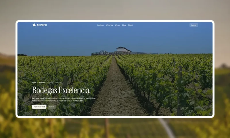 Nico Moreno - Acinipo web design