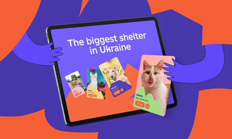 Cosmos Studio - Sirius Animal Shelter – Website Redesign & UX Design