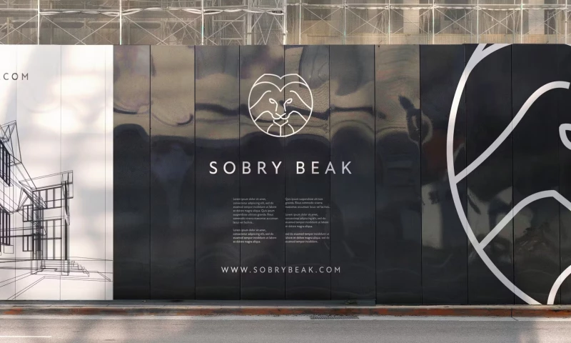 Rev.01 Studio - Sobry Beak Brand Identity & Workshop
