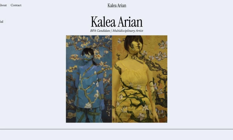 Cessna Marketing, LLC - Kalea Arian Artist Portfolio Website