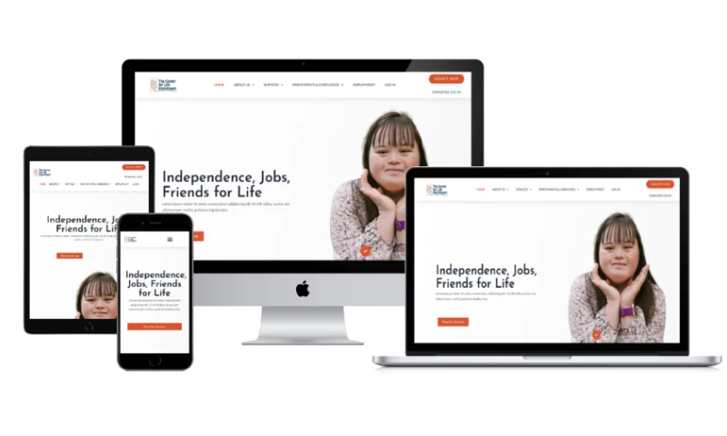 Instanticity LLC - TCLE.org Nonprofit Website Redesign