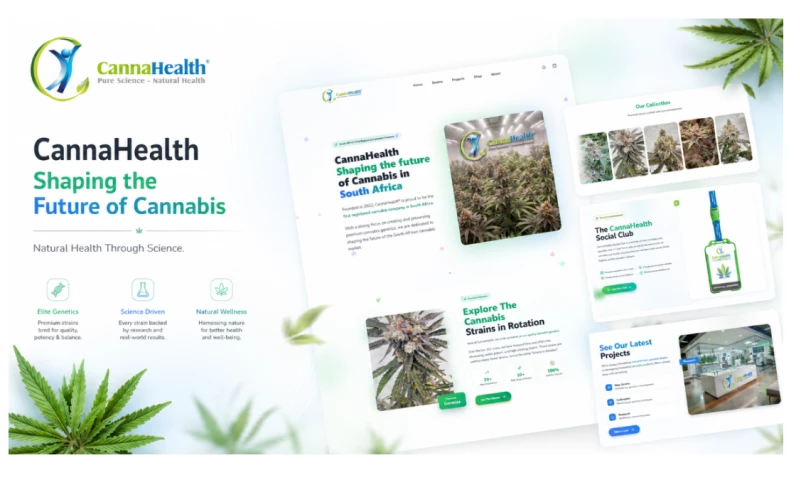 Proweb ZA - CannaHealth Website Upgrade