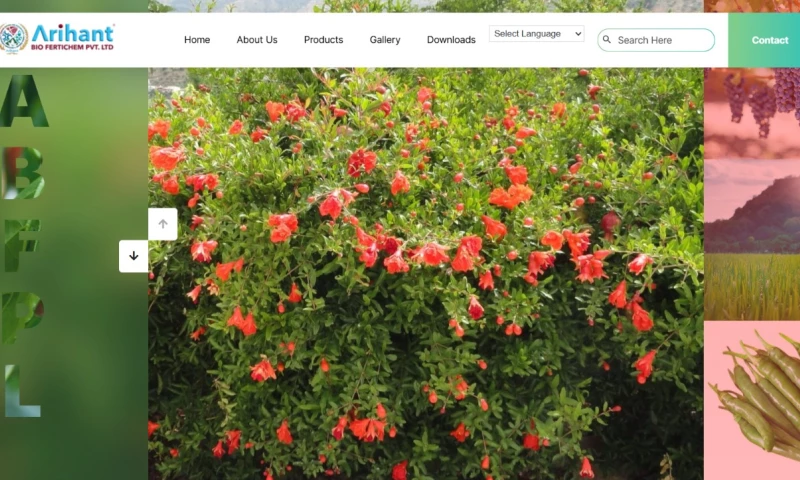CODEFLIX WEB LLP. - B2B Institutional Ecosystem & Decoupled Enterprise Resource Infrastructure