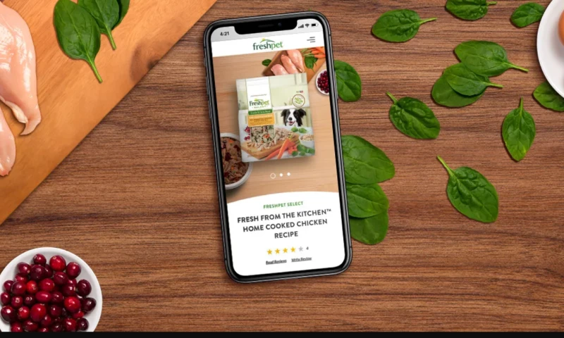 Digital Surgeons - Refreshing the Freshpet Digital Brand Experience