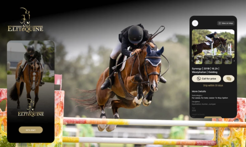 JPLoft - Elite Equine Marketplace: Smart Equestrian Market