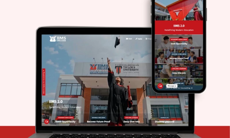 Theme Nepal - IIMS College Website Development, SEO, AEO & GEO