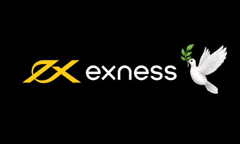 Clinch Agency - Exness
