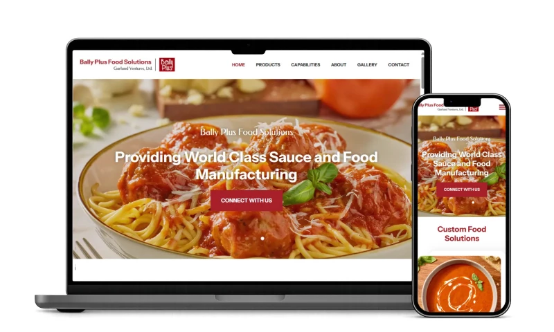 Red Spot Design - Custom WordPress site for Bally Plus Food Solutions