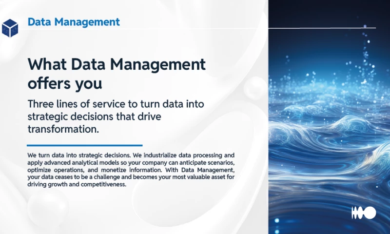 PersonalSoft - Data Management