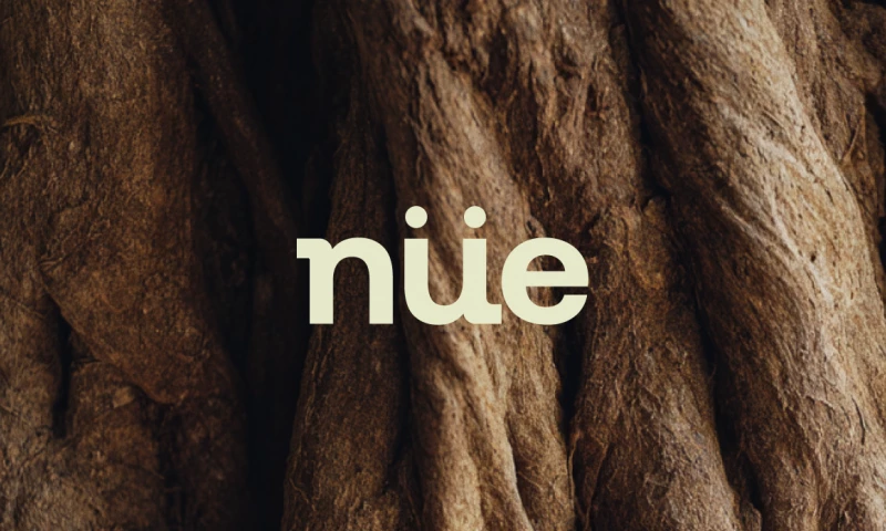 CreativeWise - Nüe