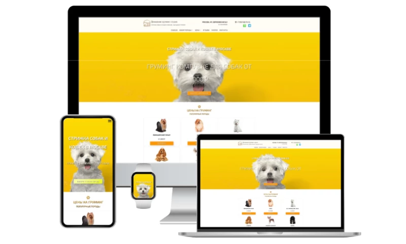 SEO7.ES · WEB STUDIO SEO · VALENCIA - Grooming ESTA Website From Scratch, Local TOP-3 in 4 Months