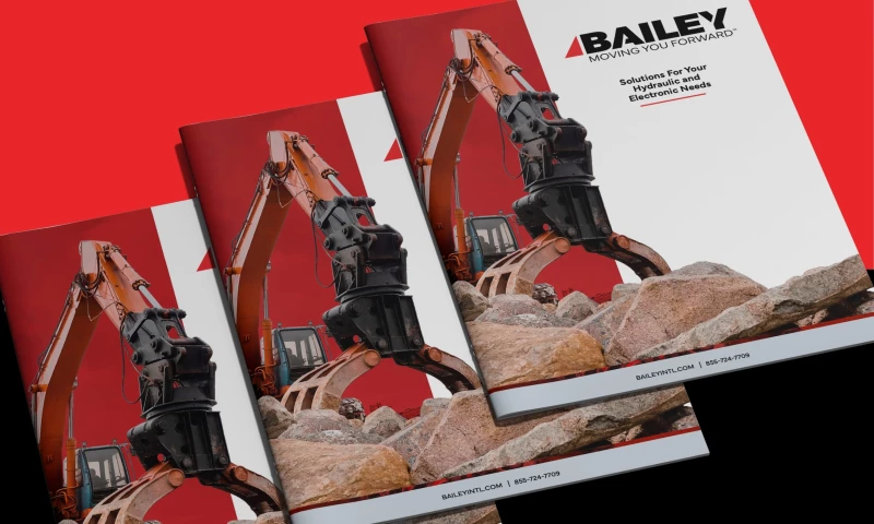 Studio Enova - Bailey Catalog