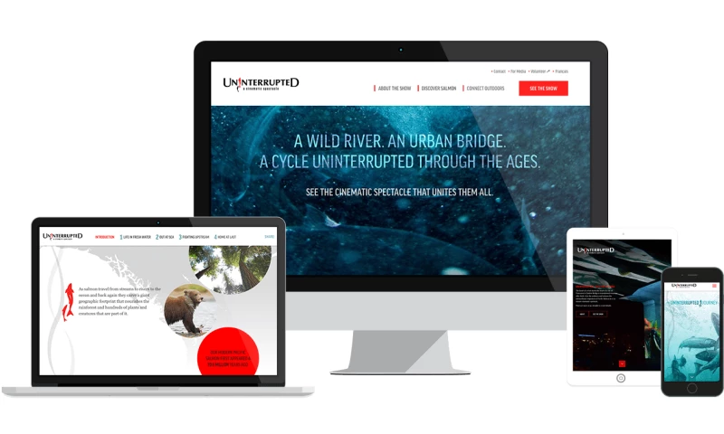 Denman Digital - Uninterrupted