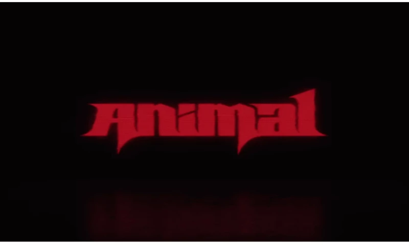SSION - KATSEYE (캣츠아이) "Animal" Official MV