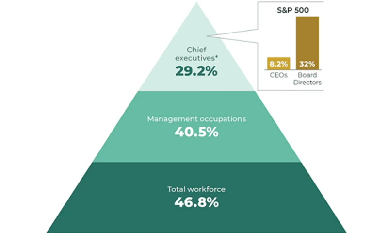 MindWork Solution - Women in Leadership Framework