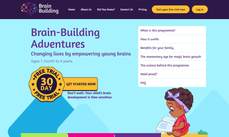 Netgen Custom Software - Brain Building