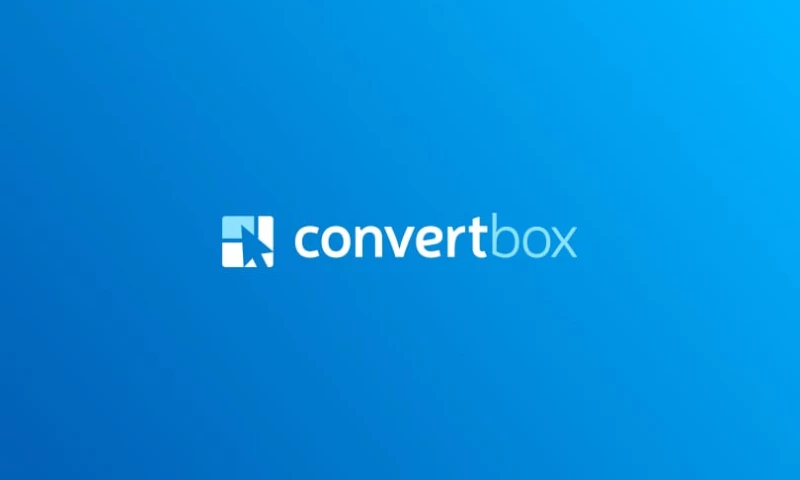 Building a SaaS Platform for a Growing Startup