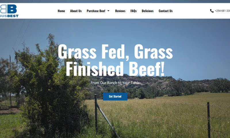 American Design Agency LLC - Website Design & Development for Brangus Best