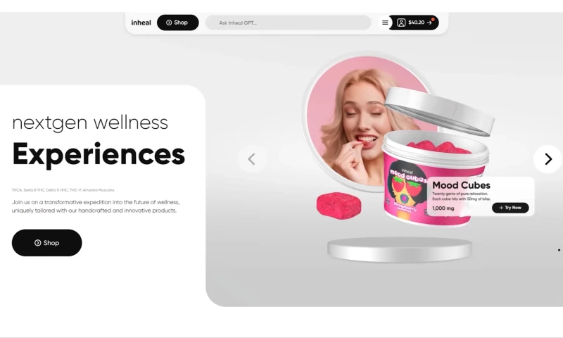 Den Bersus - 3D Bespoke eCommerce In Hyper Competitive Niches