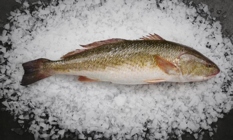 Toormix - Barrufet Seafood