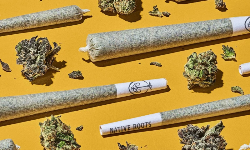 Vicarel Studios - Native Roots Cannabis Company Brand Identity Refresh