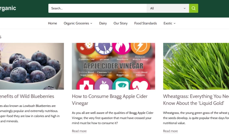 Design Street Solutions - Live Organic Organic Food E-commerce Website
