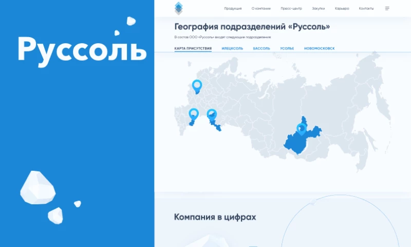 SkySoft - Modern corporate website for the RUSSALT (industrial company)