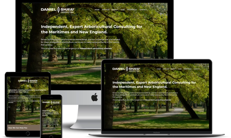 The Pridham Group - Daniel Shaw Consulting Website