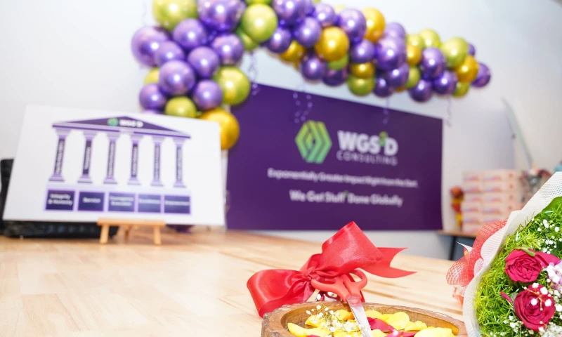 WGS2D Consulting - Project: Fintech | Business Intelligence & Analytics