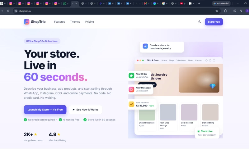 VIBE MIND AI SOLUTIONS PRIVATE LIMITED - shoptrio