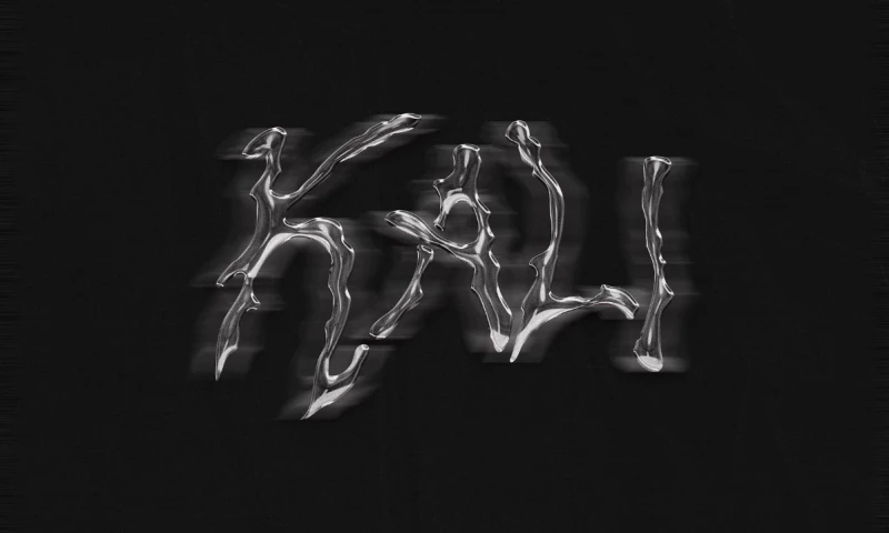 CreativeWise - Kali