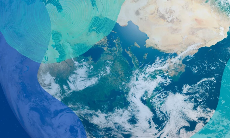 VSA Partners - Sappi: Uniting a global brand