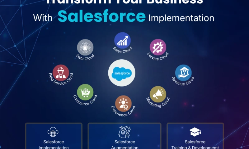 BM Cloud Consultancy - Salesforce Health Cloud Implementation for Davita