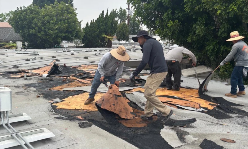 B West Builders | General Contractors - Roof Replacement in West Hollywood, CA
