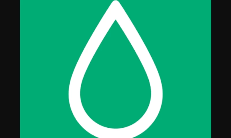 Probey Services - MOO | Customer & Account Management