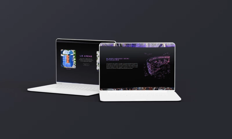 Social Horizon Marketing - Flex Arena – Revolutionary Stadiums